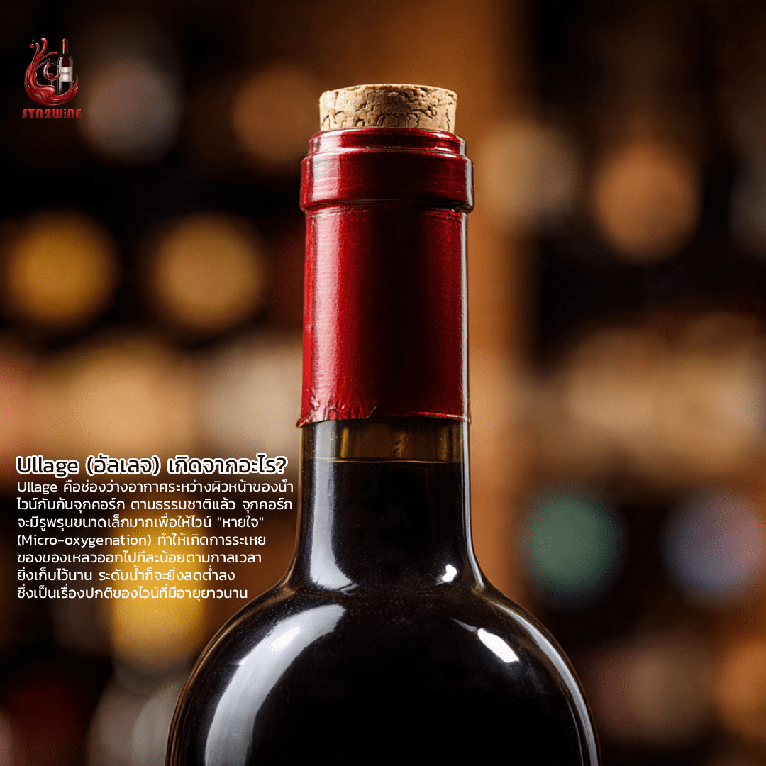 Ullage คือ ทำไมคนรักไวน์ ต้องมีความรู้เรื่องนี้