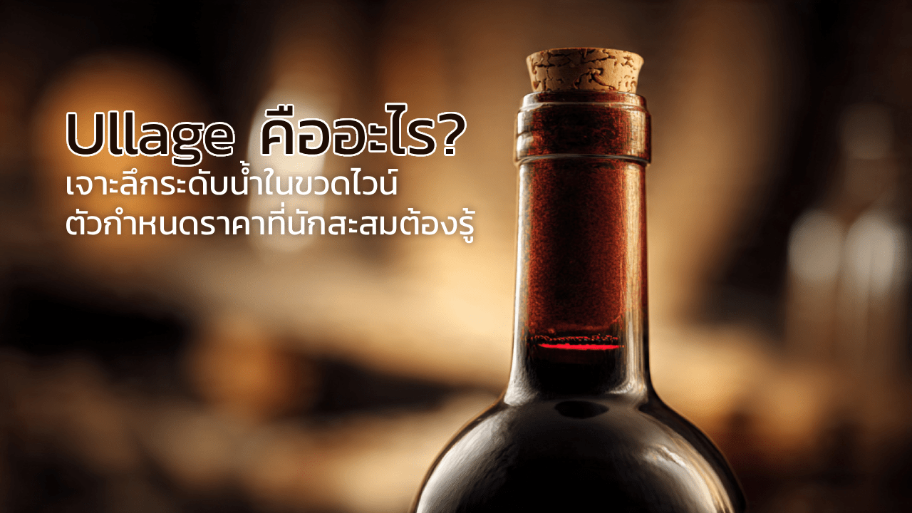 Ullage คืออะไร? เจาะลึกระดับน้ำในขวดไวน์ ตัวกำหนดราคาที่นักสะสมต้องรู้